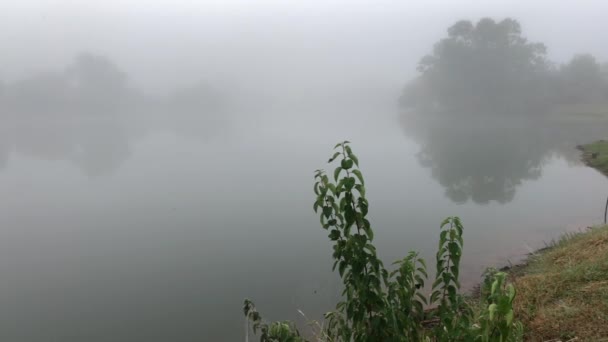 Colpo in mano di un lago avvolto nella nebbia in una mattina nebbiosa — Video Stock