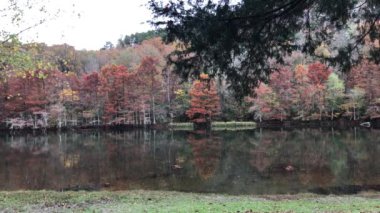 Sonbaharın güzel yansımalarını Dağ Çatalı Nehri 'nde Beavers Bend State Park, Oklahoma' da çekiyoruz..