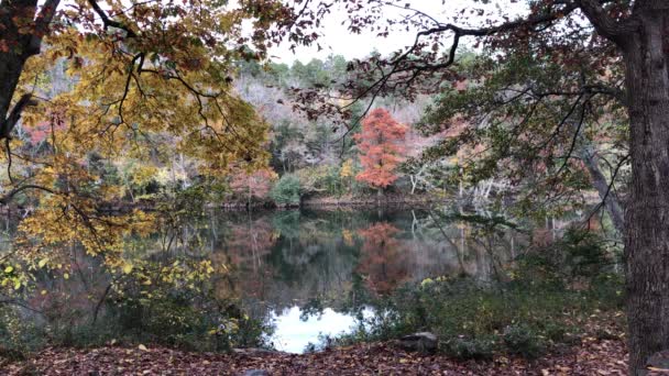 Tiro firme del río Mountain Fork, con coloridos árboles otoñales reflejados en el agua. Beavers Bend State Park, Oklahoma. — Vídeos de Stock