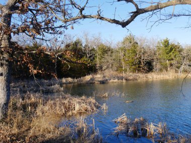 Murray Gölü 'nün sonbaharda güzel manzarası, Murray Gölü Eyalet Parkı.