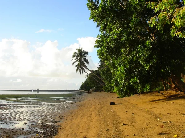 Striscia Spiaggia Sabbia Fine Con Bassa Marea Melekeok Palau — Foto Stock