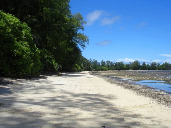 Orange Beach Nell Isola Peleliu Dove Battaglia Più Sanguinosa Della — Foto Stock