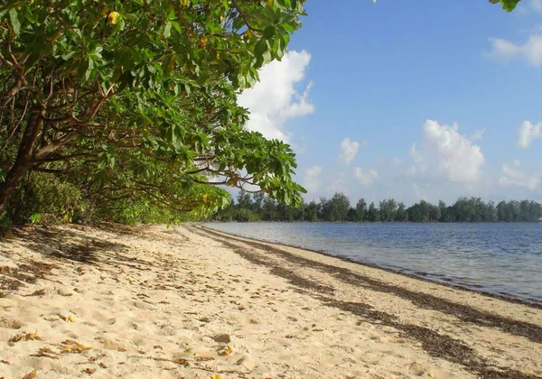 Orange Beach Peleliu Palau Onde Primeiras Forças Invasão Dos Eua — Fotografia de Stock