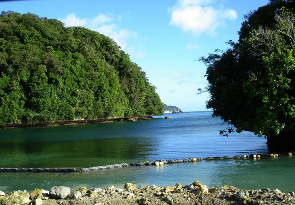 チェルバチョブと呼ばれるパラオのロック諸島は パラオの風景をとても美しいものにします — ストック写真
