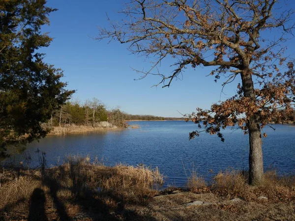 Gyönyörű Kilátás Nyílik Murray Keretezett Fák Ősszel Lake Murray State — Stock Fotó