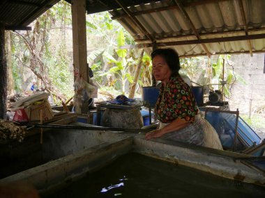 Chiang Mai, Tayland - Mart 2018: Bir kadın, San Kamphaeng, Chiang Mai 'deki el işi köyünde şemsiye yapmak için ıslanmış dut kabuklarını kepçelemeye hazırlanıyor.. 