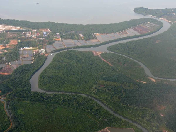 Aerial View River Flowing Palm Plantations Kuala Lumpur — Foto de Stock