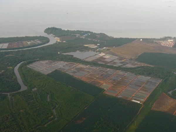 Landbouwgronden Palmplantages Gezien Vanuit Een Vliegtuigraam Dat Kuala Lumpur Maleisië — Stockfoto