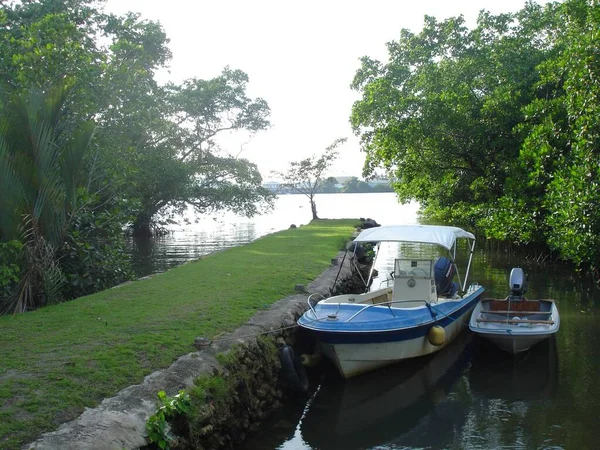 Palau 'daki bir lagünün bataklık bölgesine iki tekne yanaştı..