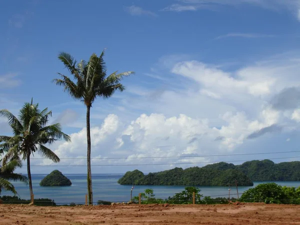 Naturskön Utsikt Över Klippöarna Med Kokosnötsträd Från Airai State Palau — Stockfoto