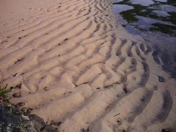 Beautiful Patterns Sand Beach Low Tide — Foto de Stock