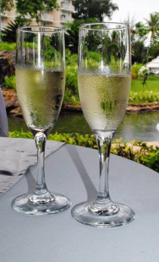 Bahçe masasında iki kadeh beyaz şarap.