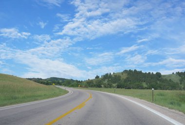 Black Hills, Güney Dakota 'da yuvarlanan tepeler ve bitki örtüsü boyunca manzaralı viraj yolu.