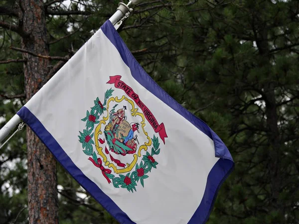 Bandera Del Estado Virginia Con Pino Detrás — Foto de Stock