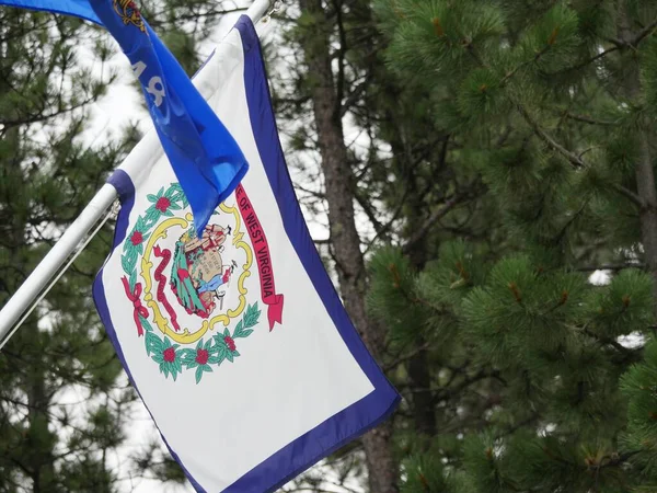 Bandera Del Estado Virginia Con Pino Detrás — Foto de Stock