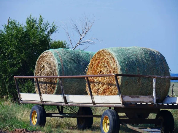 Dois Grandes Rolos Feno Colocados Uma Velha Carroça — Fotografia de Stock