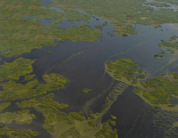 Vista Aérea Los Pantanos Louisiana — Foto de Stock