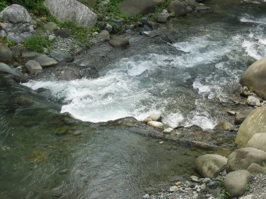 Akan bir nehirde kristal berrak su, aşağı doğru çekim