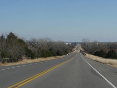 Orta batı Amerika 'da kış sabahı yapraksız ağaçlarla kaplı düz asfalt bir yol.