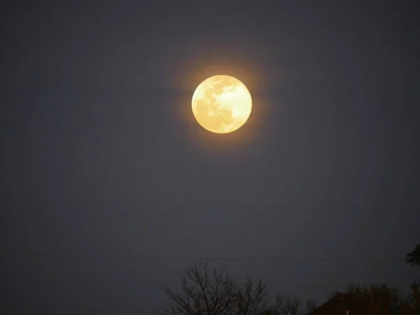 Pleine Lune Jaunâtre Avec Des Lignes Électriques Floues Des Cimes — Photo
