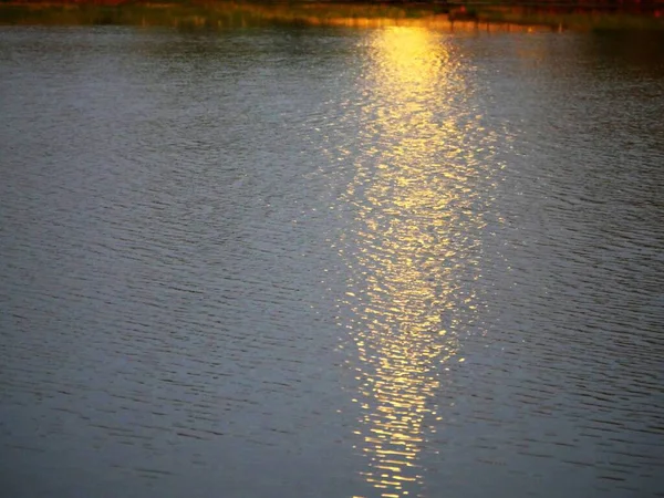 Золотая Рябь Воде Отражается Полнолуния — стоковое фото