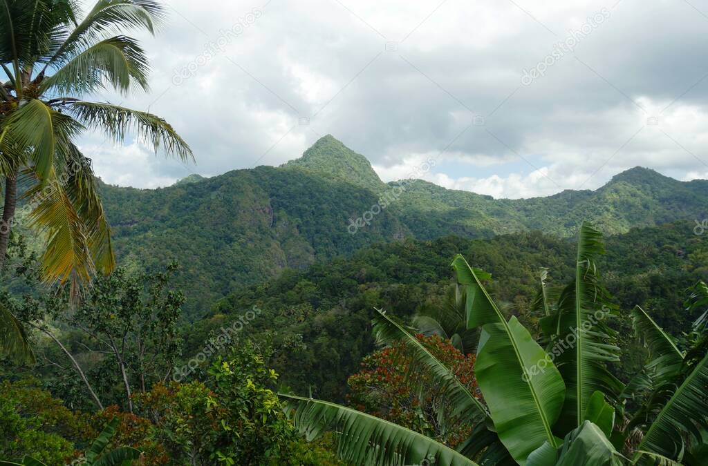 Landscape with mountains and thick forests in Saint Lucia, Caribbean Islands.
