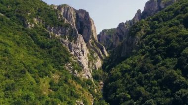 Kayalıklarla ve ağaçları ile dağlık bölgesinin çarpıcı havadan görünümü