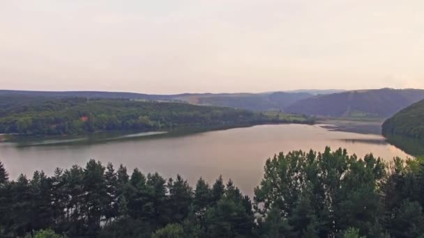 Vertikala Flygfoto över katedralen i staden, Cluj Napoca — Stockvideo