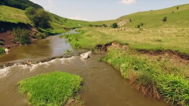 Zonnen weergave naast een trage rivier in weelderige groene gras — Stockvideo