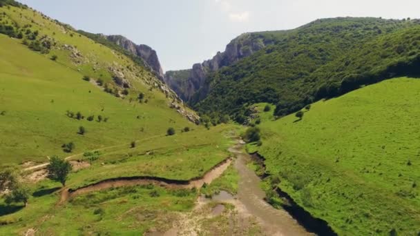 Vista aérea deslumbrante de colinas verdes deliciosas com um pequeno rio passando por eles — Vídeo de Stock