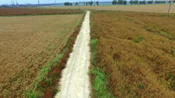 Bella vista aerea di una strada di campagna deserta che passa attraverso campi gialli di grano — Video Stock