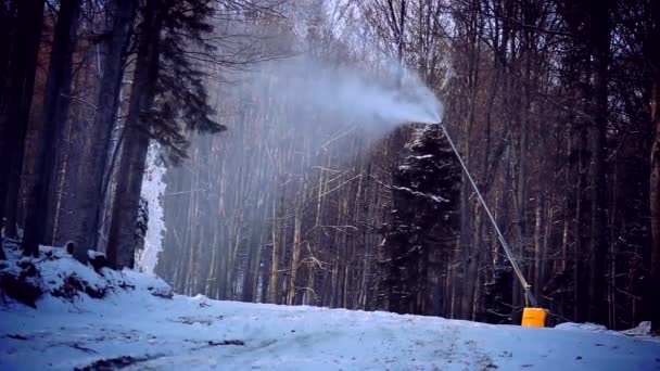 Snow cannon in winter forest landscape — Stock Video