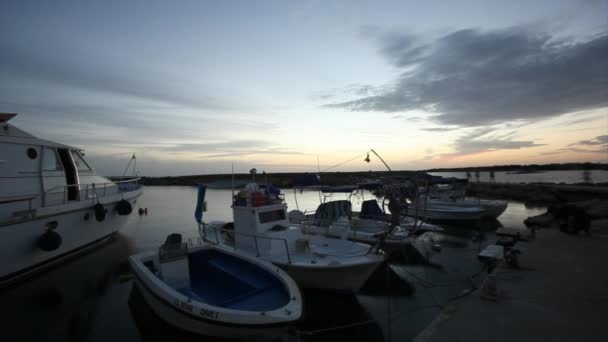 Timelapse of docked boats — Stock Video