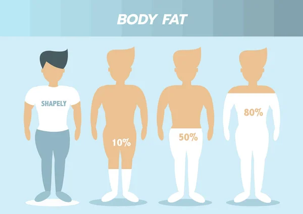 Tipos Corpo Masculino Corpo Humano Frontal Gordura Corporal Ilustrações Vetoriais — Vetor de Stock