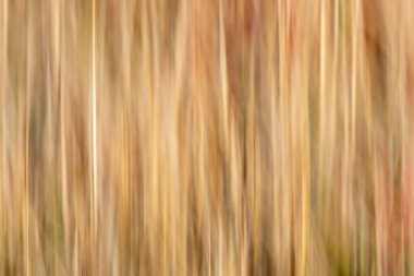 Bulanık çizgiler soyut bir resim oluşturuyor 