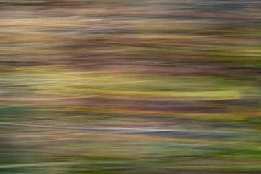 Çeşitli uzunluktaki renkli yatay çizgiler