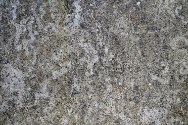 Eski bir duvara yakın çekim yap ve dokuyu göster 