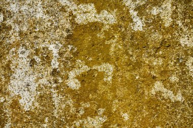 Eski hasarlı renkli duvarın yapısına yakın çekim