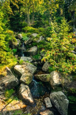 Taşların arasında şelale akan küçük bir dere.