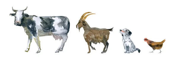 Beyaz arka planda inek, keçi, köpek ve dişi aslan.. — Stok fotoğraf