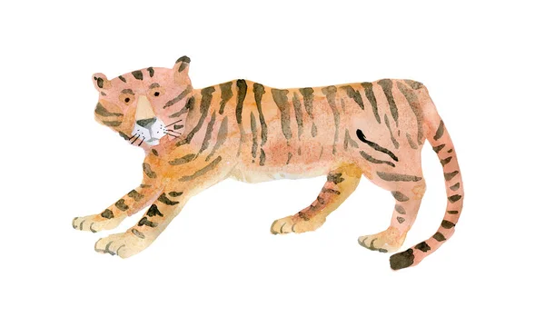 Tygrys w profilu, patrzy na widza. Dzikie zwierzęta. Ilustracja akwarela. — Zdjęcie stockowe