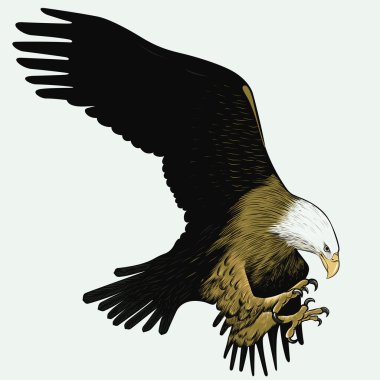 Kel Kartal