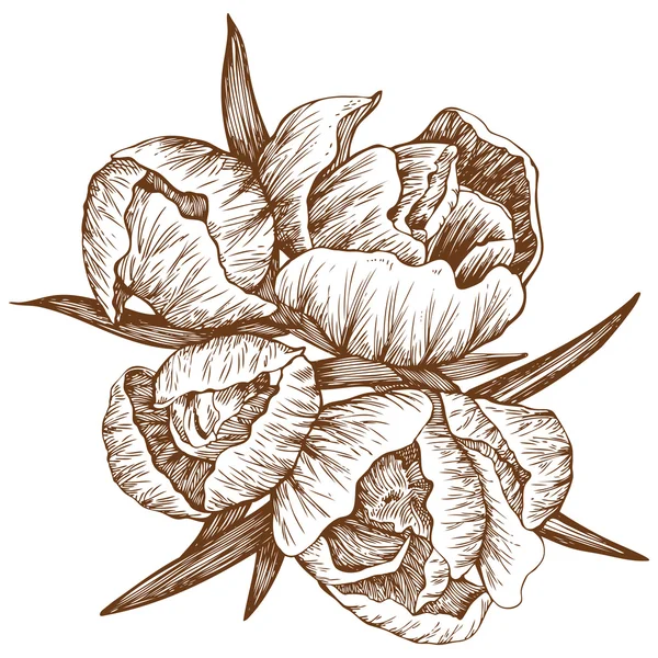 Flores vectoriales — Vector de stock