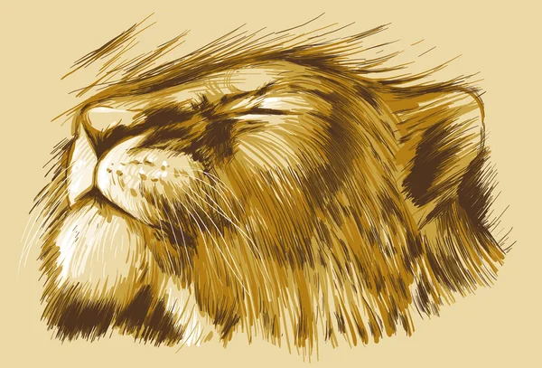 Спящая львица — стоковый вектор