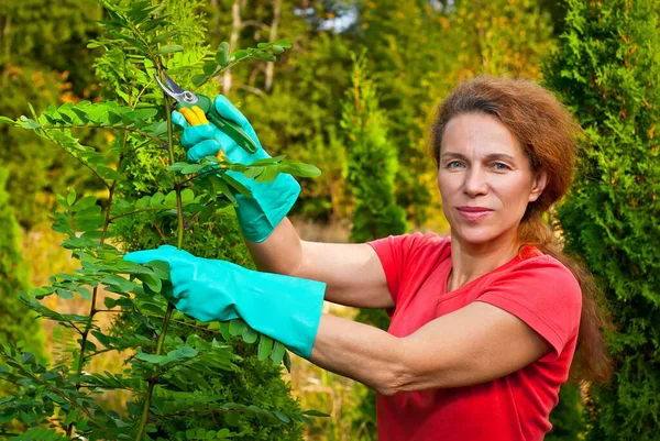 A woman in an orange T-shirt and blue gloves cuts the bushes with secateurs.