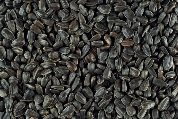 Black Sunflower Seeds Close Seed Texture Lots Seeds Pile — Stock Photo, Image
