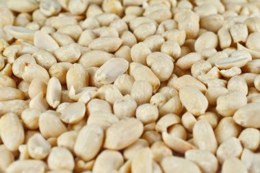 Fıstıklar kapanıyor. Fındık dokusu. Bir yığın soyulan fındık.