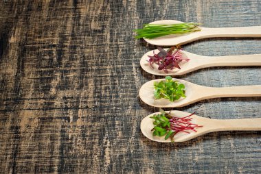 Mikro-yeşil buğday, amaranth, pancar ve fesleğen. Tahta kaşıkta filizler. Boşluğu ve boş alanı metin için kopyala. Siyah, pejmürde bir tahtada farklı türde filizler..
