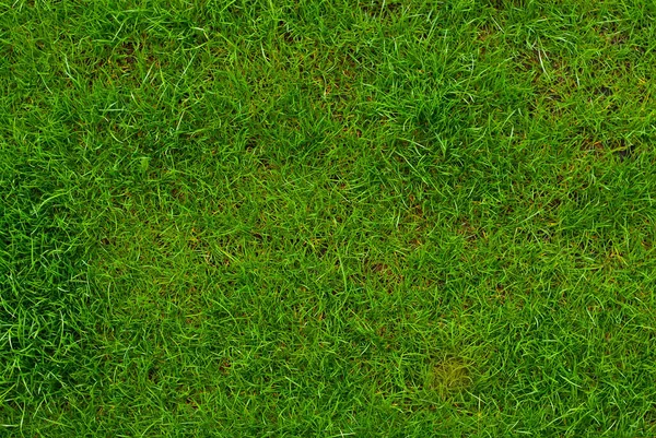 サッカー場の質感を閉じます スタジアムの草 スポーツ場のための素晴らしい芝生 — ストック写真