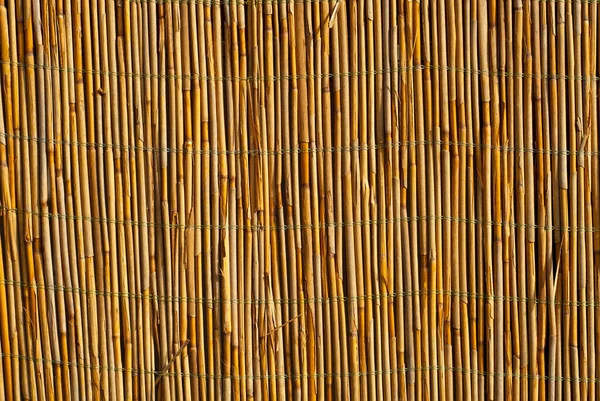 藁の柵の質感 草の茎の壁を閉じます 葦と竹の黄色の壁 — ストック写真